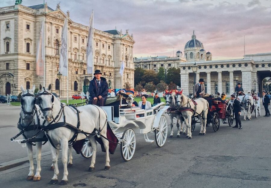 Vienna: 30-Minute Fiaker Ride in the Old Town - Key points at a glance