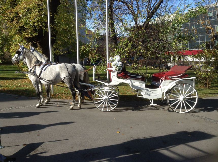 Vienna: 30-Minute Fiaker Ride in the Old Town - Along the Ringstrasse and its museum buildings