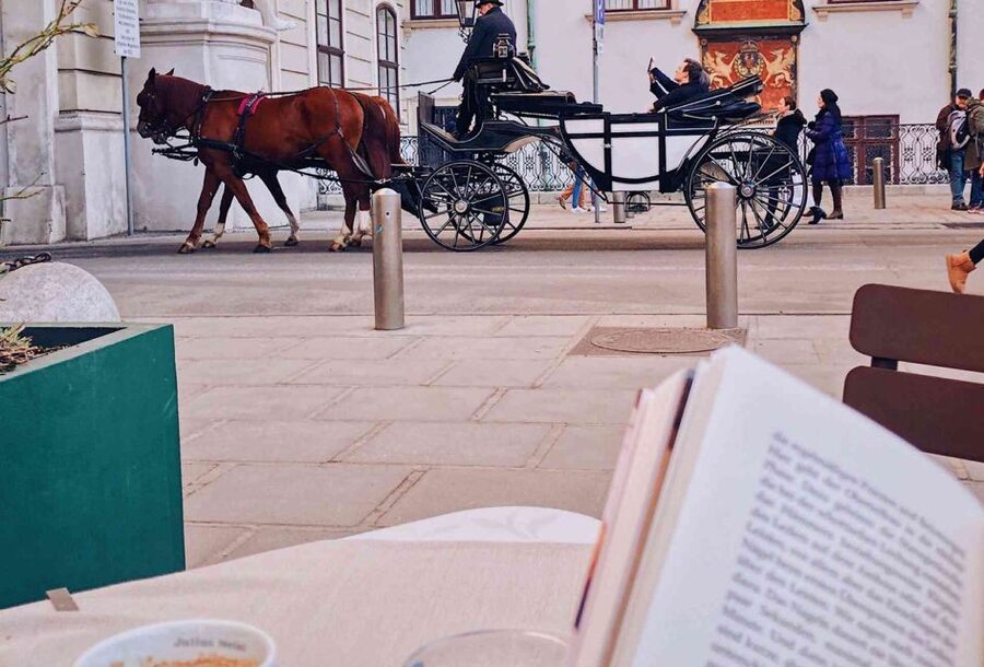 Vienna: 30-Minute Fiaker Ride in the Old Town - Meeting near St. Stephen’s Cathedral or Michaelerplatz