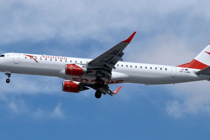 Vienna Airport Transfer from Vienna City with Private Driver - Meet and greet at Vienna International Airport