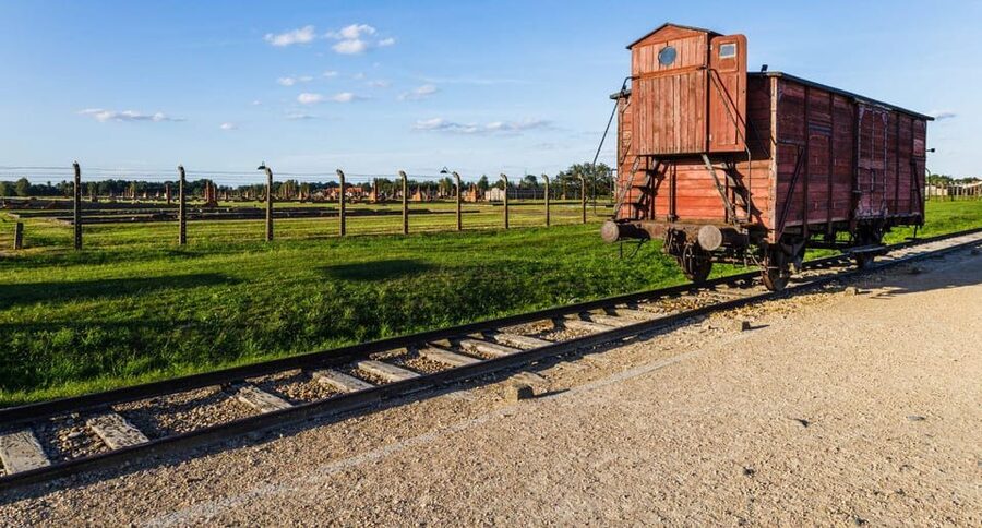 Vienna: Auschwitz Birkenau Full-Day Tour w/ Hotel Transfers - Why this is such a demanding day from Vienna