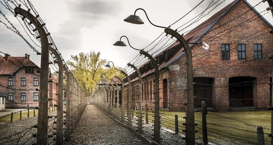 Vienna: Auschwitz Birkenau Full-Day Tour w/ Hotel Transfers - One hour for lunch and reflection