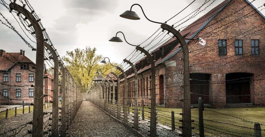 Vienna: Auschwitz Birkenau Full-Day Tour w/ Hotel Transfers - Is $666 per person a fair price?