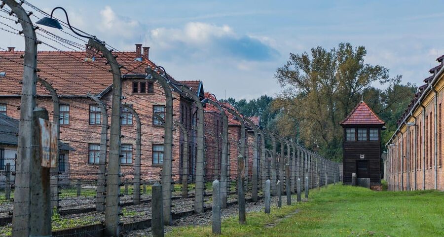 Vienna: Auschwitz Birkenau Full-Day Tour w/ Hotel Transfers - Who will get the most from this tour