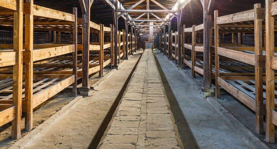 Vienna: Auschwitz Birkenau Full-Day Tour w/ Hotel Transfers - Practical advice for a respectful visit