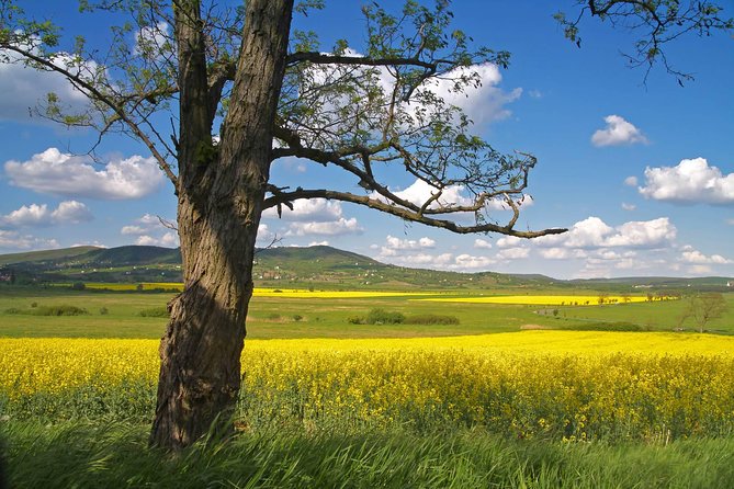 Vienna-Budapest One-Way Sightseeing Transfer - Bratislava Old Town: a compact first stop
