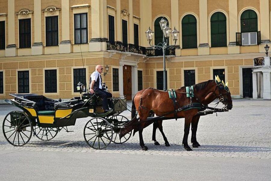 Vienna: Carriage Ride Through Schönbrunn Palace Gardens - From the palace to the formal garden