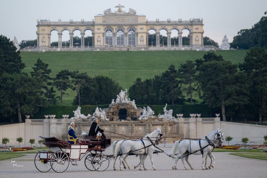 Vienna: Carriage Ride Through Schönbrunn Palace Gardens - The Neptune fountain and Obelisk fountain