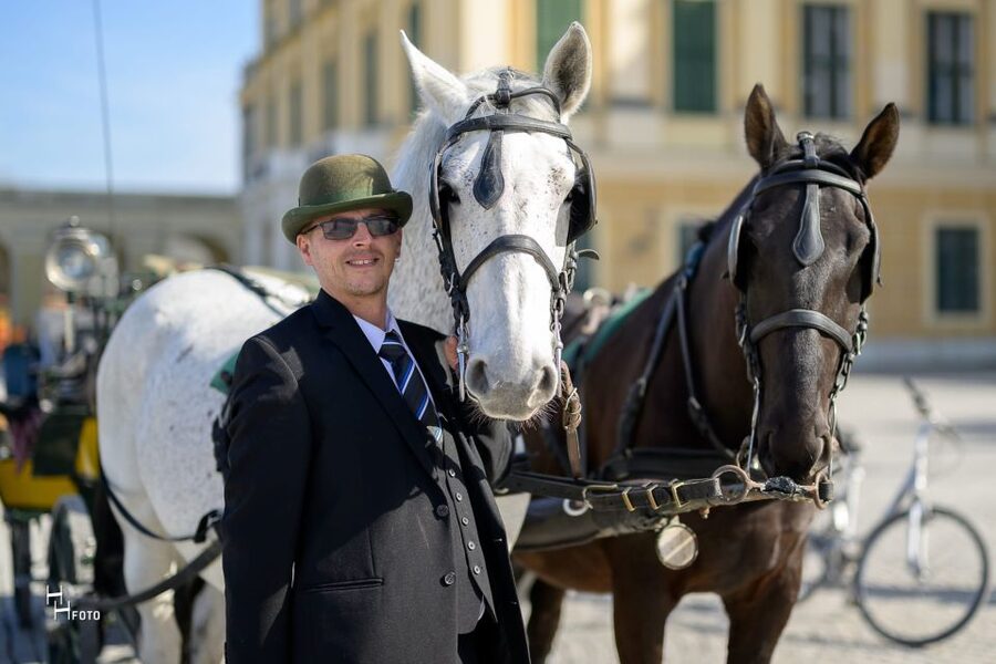Vienna: Carriage Ride Through Schönbrunn Palace Gardens - What the Fiaker adds to the ride