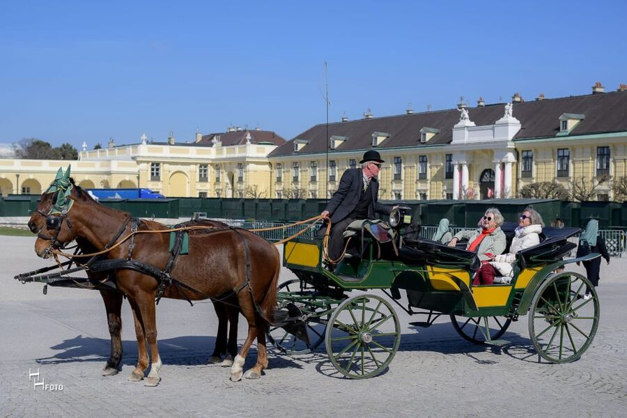 Vienna: Carriage Ride Through Schönbrunn Palace Gardens - Private group pricing and overall value