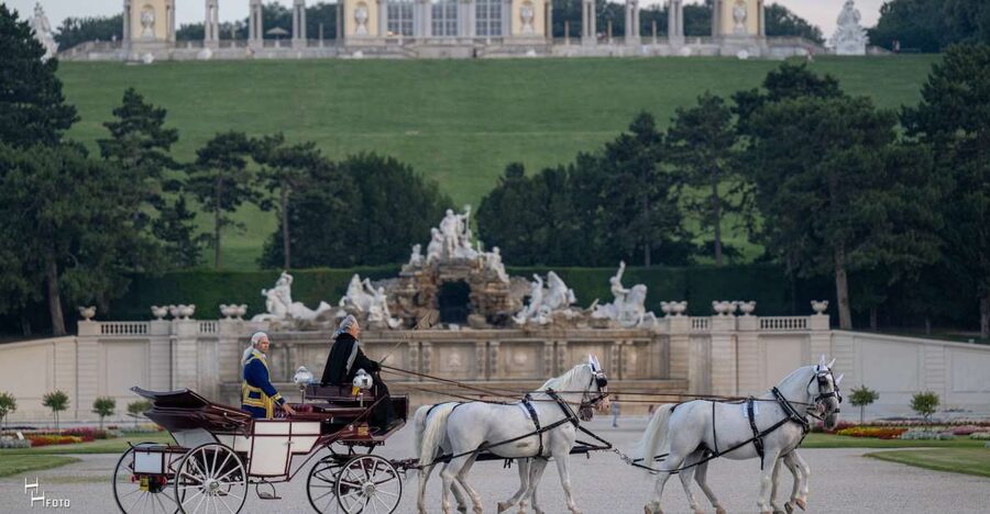 Vienna: Carriage Ride Through Schönbrunn Palace Gardens - Timing, comfort, and practical limits