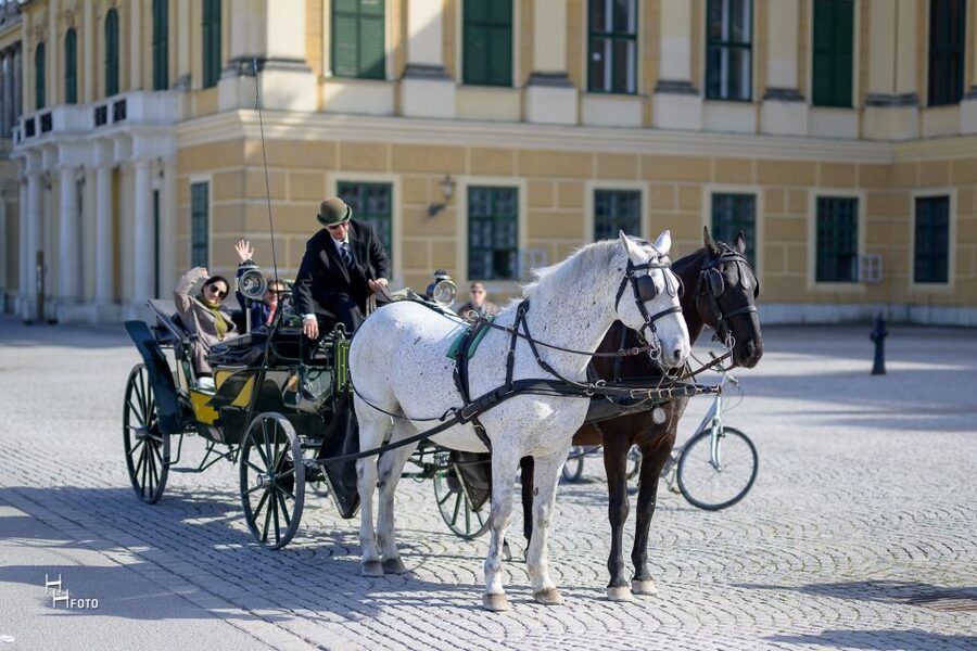 Vienna: Carriage Ride Through Schönbrunn Palace Gardens - Why Schönbrunn’s gardens suit a carriage ride