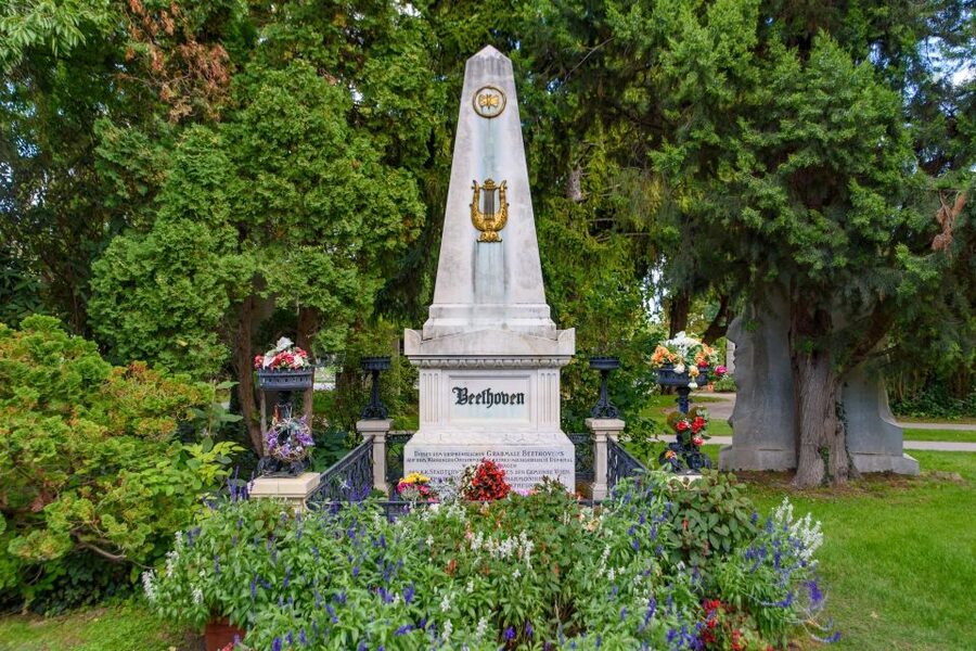 Vienna Central Cemetery Walking Tour with Transfers - A calm setting with a serious subject