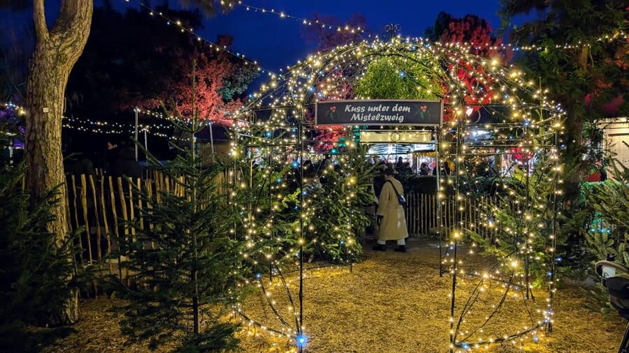 Vienna: Christmas Market Food and Drinks Tour - Group size, pace, and the guide’s role