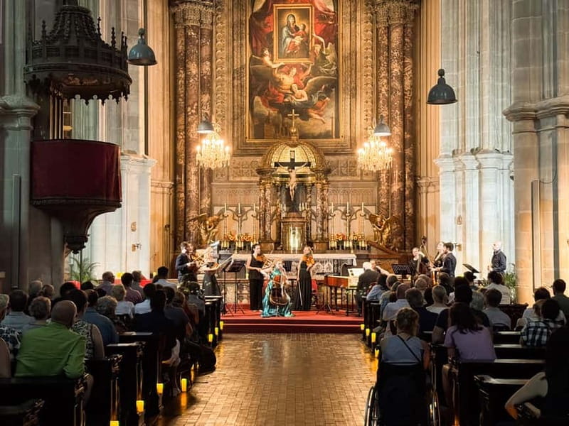 Vienna: Classical Concerts in the Minorite Church Ticket - Seating, sightlines, and comfort