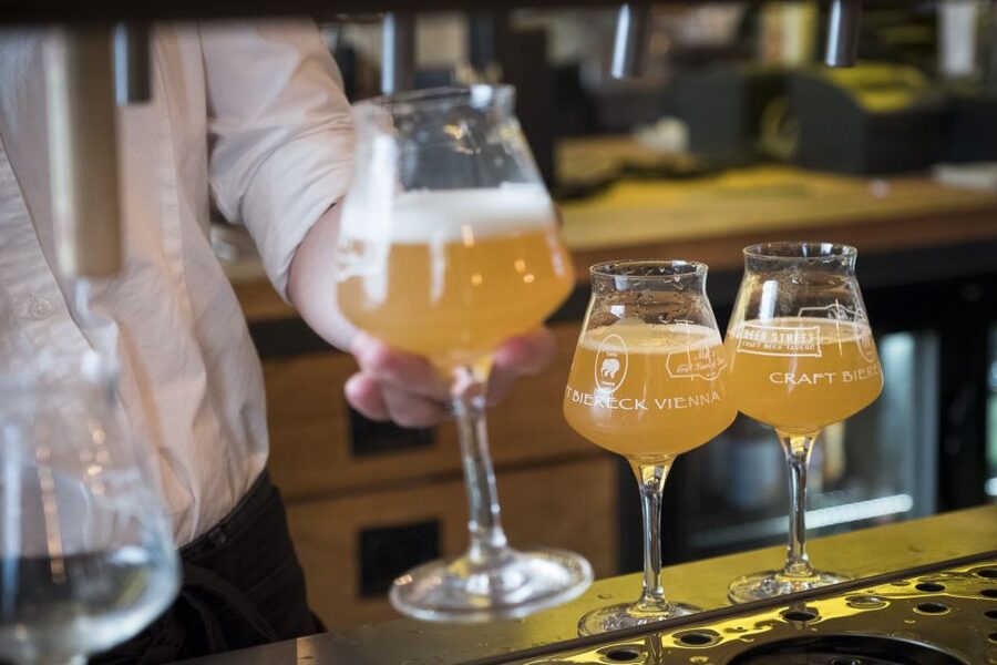 Vienna: Craft Beer Tasting Experience with Local Snacks - Traditional snacks with the beer