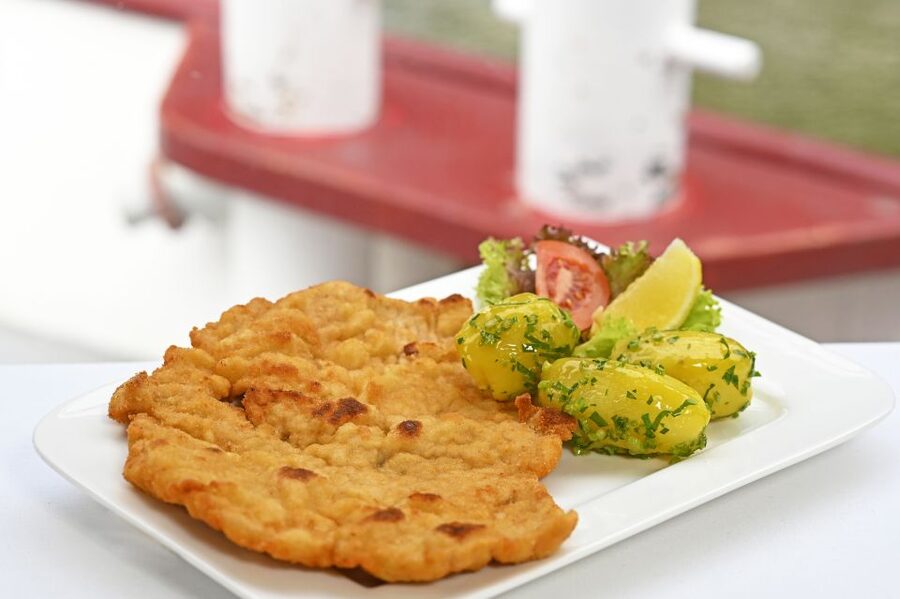 Vienna: Cruise and Schnitzel Tour - Should you book the cruise and schnitzel tour?