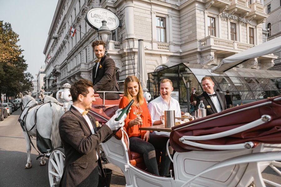 Vienna: Culinary Horse-Drawn Carriage Experience - What the high rating gets right, and where to stay realistic