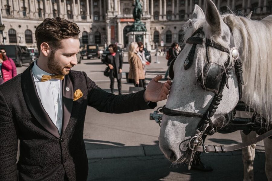 Vienna: Culinary Horse-Drawn Carriage Experience - Food, sparkling wine, and the pace of the ride