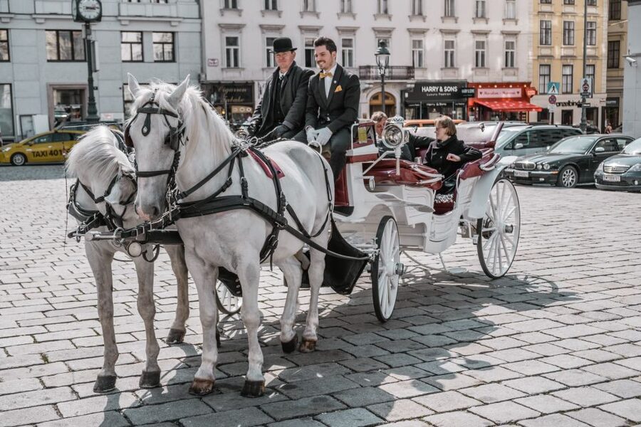 Vienna: Culinary Horse-Drawn Carriage Experience - Why the private format changes the experience