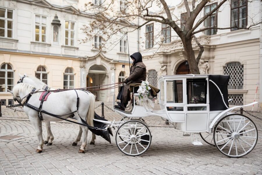 Vienna: Culinary Horse-Drawn Carriage Experience - Winter snow, summer sun, and weather planning