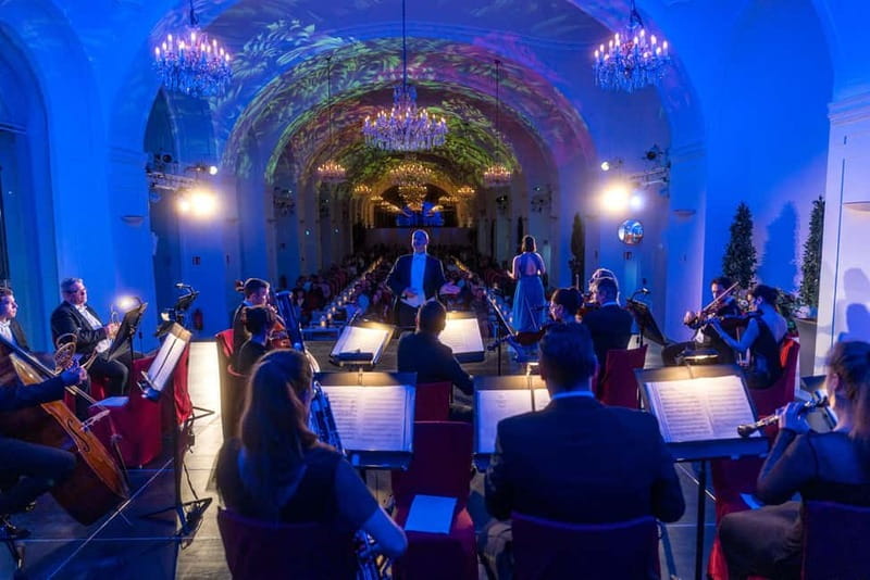 Vienna: Dinner & Concert at Schönbrunn Palace - Inside the Schönbrunn Orangery