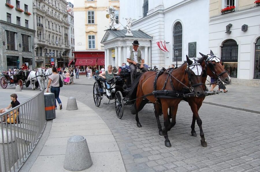 Vienna Full Day Tour from Prague - Should you book the Vienna tour from Prague?