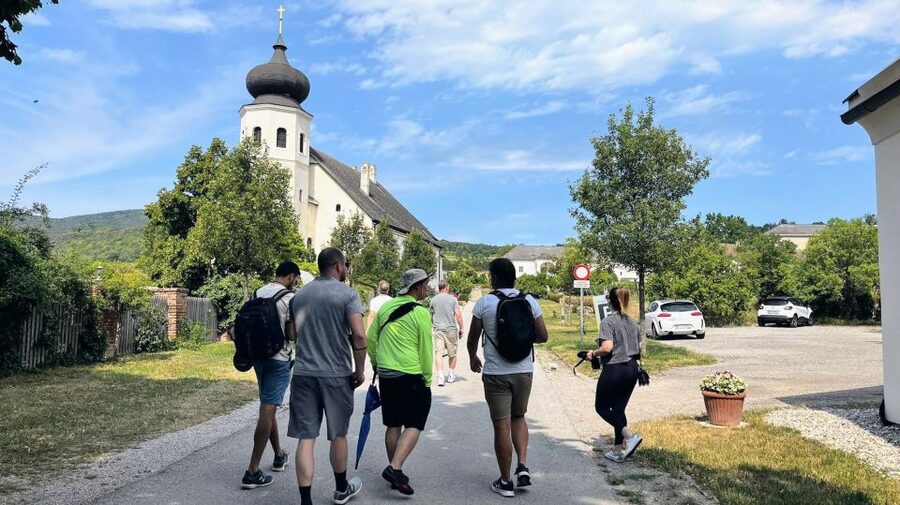 Vienna: Full-Day Vienna Woods Wine Tasting Tour - Key points at a glance