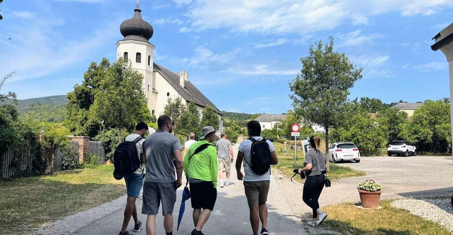Vienna: Full-Day Vienna Woods Wine Tasting Tour - Summer route: Baden, forest paths, and a 360-degree view