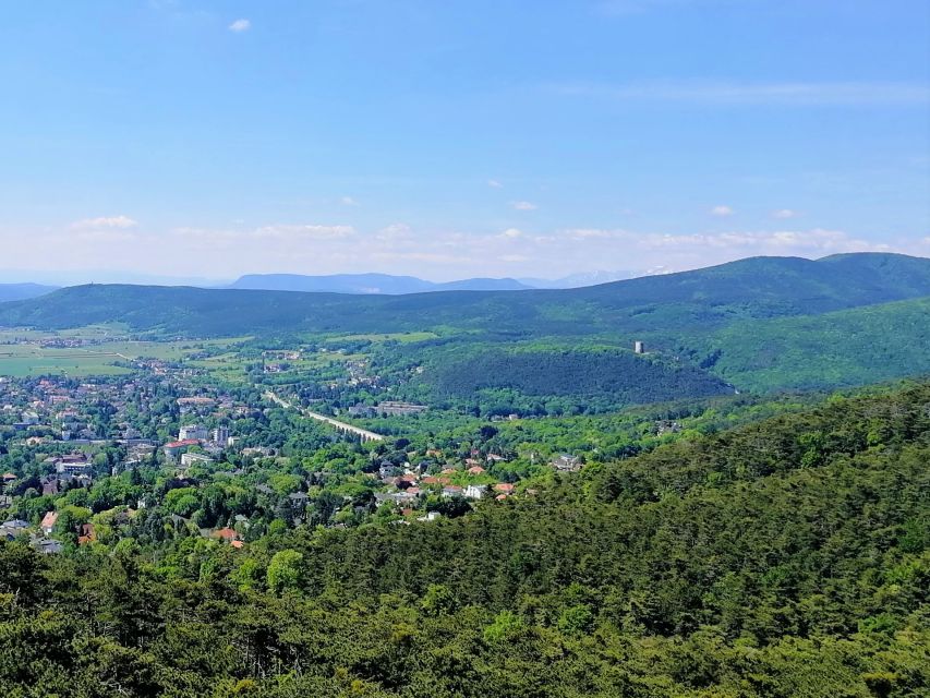 Vienna: Full-Day Vienna Woods Wine Tasting Tour - Moving from forest to vineyard rows