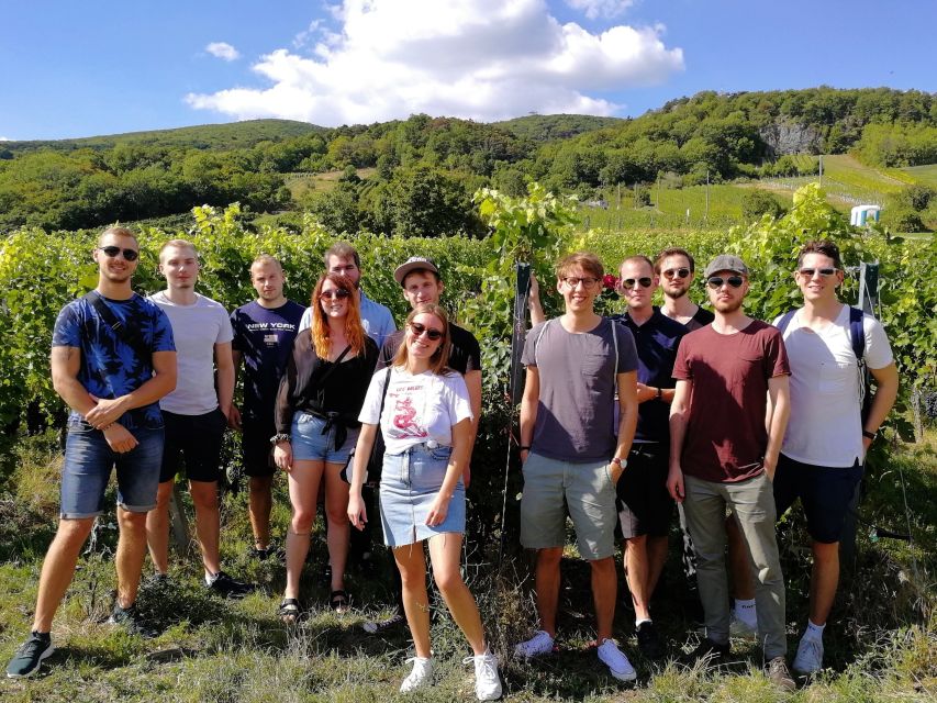 Vienna: Full-Day Vienna Woods Wine Tasting Tour - Winter route: monastic wine tradition and local sekt