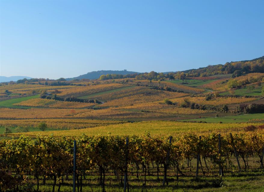 Vienna: Full-Day Vienna Woods Wine Tasting Tour - Gumpoldskirchen and the traditional wine tavern