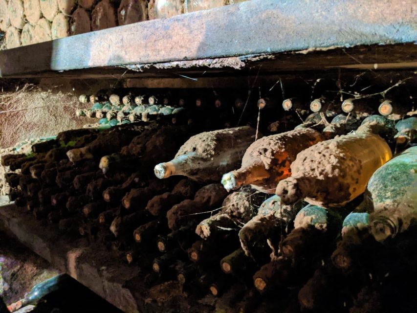 Vienna: Full-Day Vienna Woods Wine Tasting Tour - How much value do you get for $187?