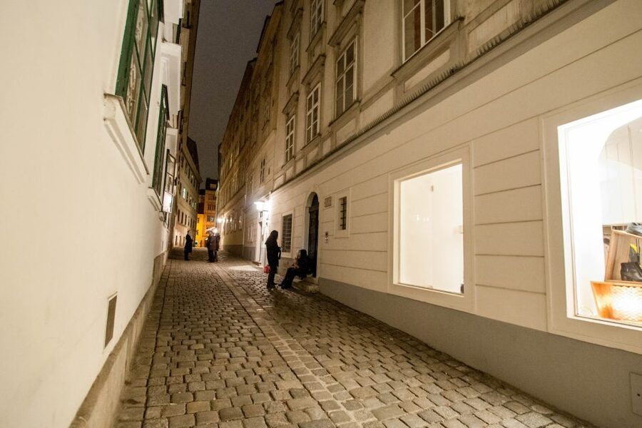 Vienna: Ghosts and Legends Guided Nighttime Walking Tour - Who should book this nighttime walk?