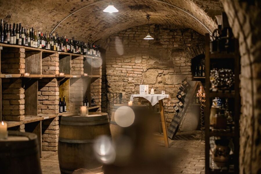 Vienna: Hidden Wine Cellars Tasting Experience - Key points at a glance