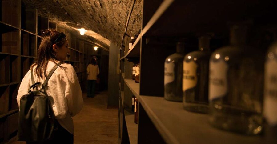 Vienna: Historical Pharmacy Cellar Guided Tour - Entering Vienna’s Pharmacy Cellar