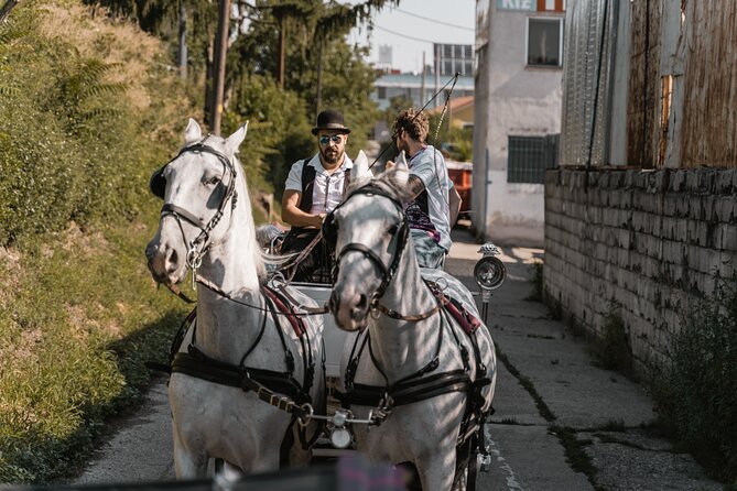Vienna Horse-drawn Carriage Guided Tour - The Hofburg finish and where you are dropped
