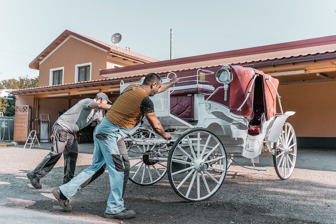 Vienna Horse-drawn Carriage Guided Tour - What you get for $39.16