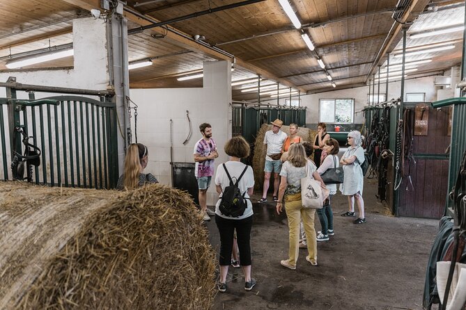Vienna Horse-drawn Carriage Guided Tour - Is this a good choice for children?