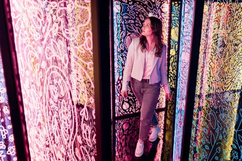 Vienna: IKONO VIENNA Immersive Experience Ticket - The host and the easygoing format