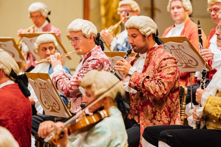 Vienna: Mozart Concert and Austrian Delights Dinner - The hall and your concert seat