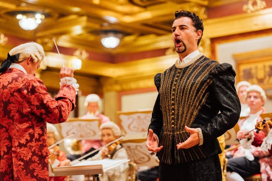 Vienna: Mozart Concert in the Brahms-Saal - The Brahms-Saal setting at the Wiener Musikverein