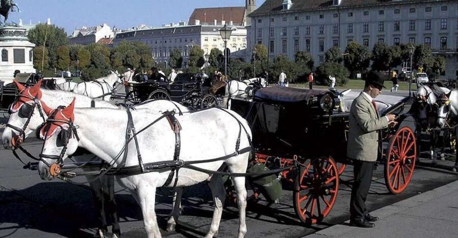 Vienna: Mozart Concert with Dinner and Carriage Ride - Choosing between the Musikverein, Konzerthaus, and State Opera