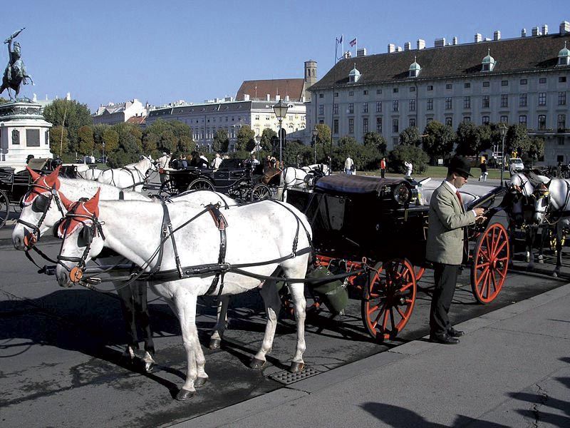 Vienna: Mozart Concert with Dinner and Carriage Ride - Is $443 per person a fair price?