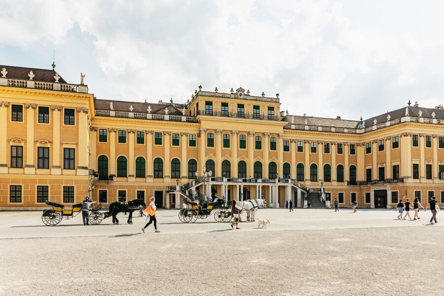 Vienna: Panorama Train Tickets to explore Schönbrunn Palace - Small details that can make the day easier