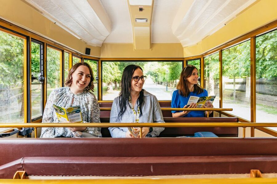 Vienna: Panorama Train Tickets to explore Schönbrunn Palace - Reaching the Gloriette without the long climb