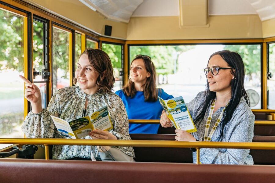 Vienna: Panorama Train Tickets to explore Schönbrunn Palace - Is $18 good value?