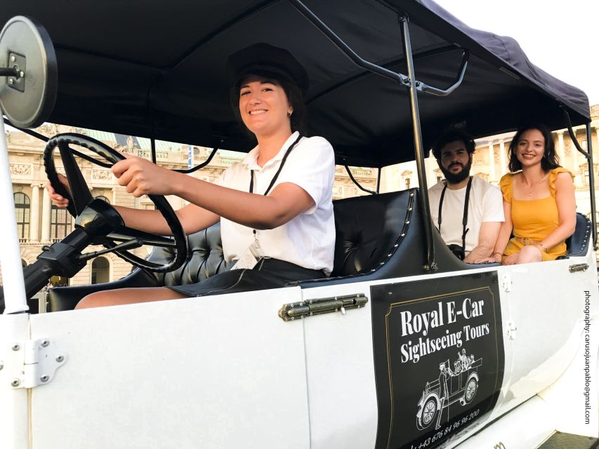 Vienna: Private Electric Car Sightseeing Tour - A quiet ride through Vienna’s grand old town