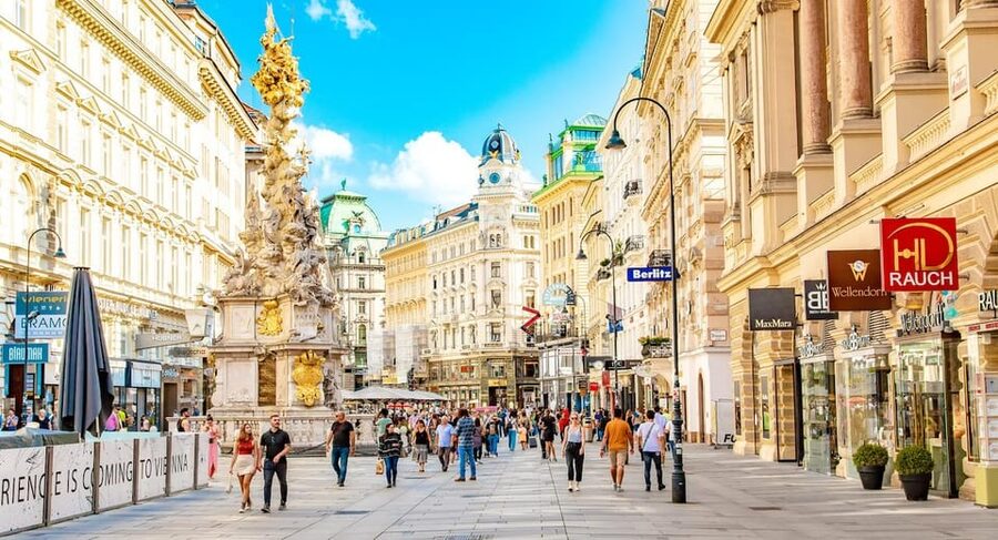 Vienna Private Full Day Tour – Tickets to Schönbrunn & Lunch - Heldenplatz, the library, and court life