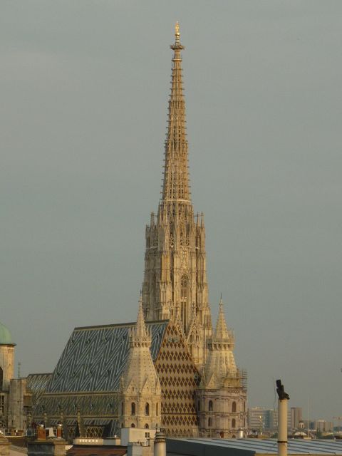 Vienna: Private Guided Walking Tour - Why a private walk works well in central Vienna